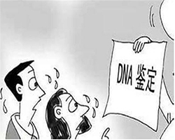 山西省想办理隐私亲子鉴定怎么做，山西省想做匿名亲子鉴定需要什么手续